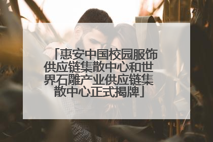 惠安中国校园服饰供应链集散中心和世界石雕产业供应链集散中心正式揭牌