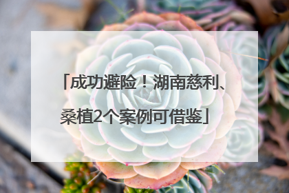 成功避险！湖南慈利、桑植2个案例可借鉴