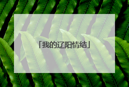 我的辽阳情结