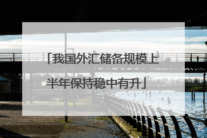 我国外汇储备规模上半年保持稳中有升