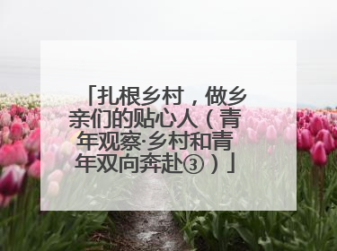 扎根乡村，做乡亲们的贴心人（青年观察·乡村和青年双向奔赴③）