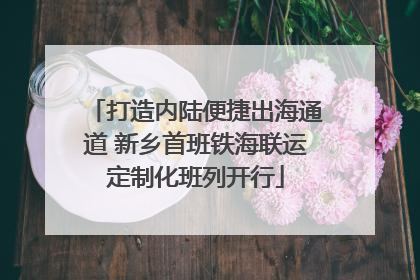 打造内陆便捷出海通道 新乡首班铁海联运定制化班列开行