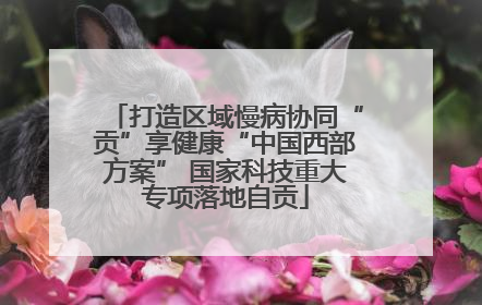 打造区域慢病协同“贡”享健康“中国西部方案” 国家科技重大专项落地自贡