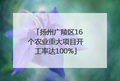 扬州广陵区16个农业重大项目开工率达100%