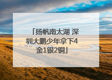 扬帆南太湖 深圳大鹏少年拿下4金1银2铜