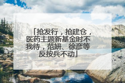 抢发行，抢建仓，医药主题新基金时不我待，范妍、徐彦等反按兵不动