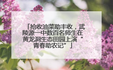 抢收油菜助丰收，武陵源一中数百名师生在黄龙洞生态田园上演“青春助农记”