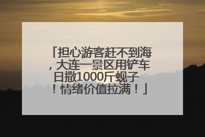 担心游客赶不到海，大连一景区用铲车日撒1000斤蚬子！情绪价值拉满！