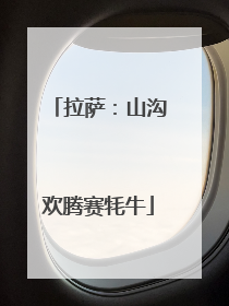 拉萨：山沟欢腾赛牦牛