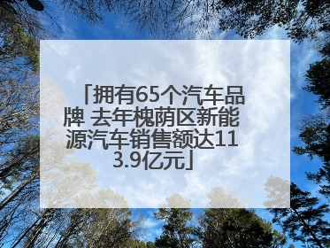 拥有65个汽车品牌 去年槐荫区新能源汽车销售额达113.9亿元