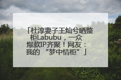 杜淳妻子王灿兮晒整柜Labubu，一众爆款IP齐聚！网友：我的 “梦中情柜”