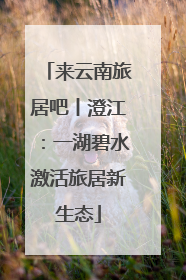 来云南旅居吧丨澄江：一湖碧水激活旅居新生态