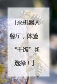 来机器人餐厅，体验“干饭”新选择！