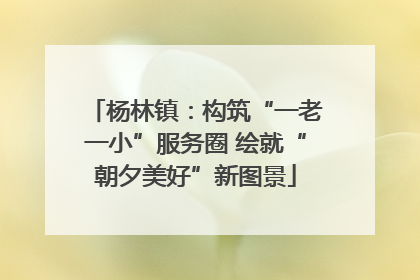 杨林镇：构筑“一老一小”服务圈 绘就“朝夕美好”新图景