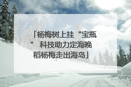 杨梅树上挂“宝瓶” 科技助力定海晚稻杨梅走出海岛