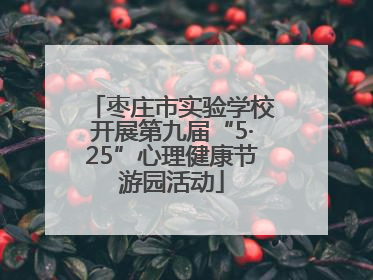 枣庄市实验学校开展第九届“5·25”心理健康节游园活动
