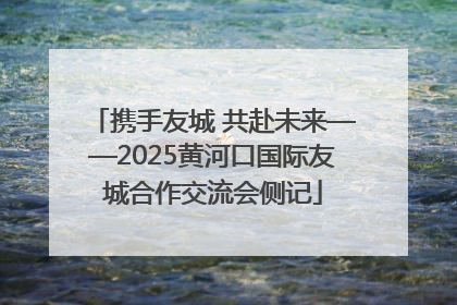 携手友城 共赴未来——2025黄河口国际友城合作交流会侧记