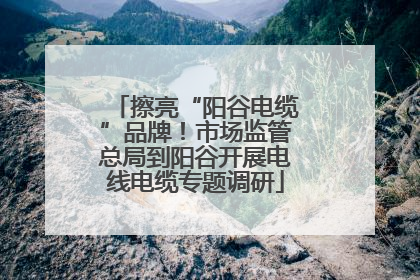 擦亮“阳谷电缆”品牌！市场监管总局到阳谷开展电线电缆专题调研
