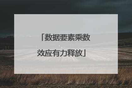 数据要素乘数效应有力释放