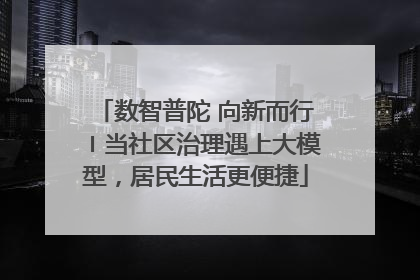 数智普陀 向新而行〡当社区治理遇上大模型，居民生活更便捷