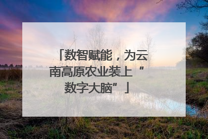 数智赋能，为云南高原农业装上“数字大脑”
