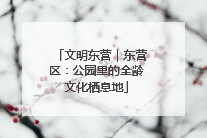 文明东营｜东营区：公园里的全龄文化栖息地