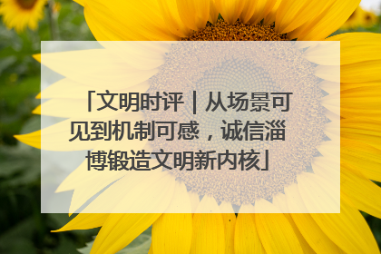 文明时评｜从场景可见到机制可感，诚信淄博锻造文明新内核