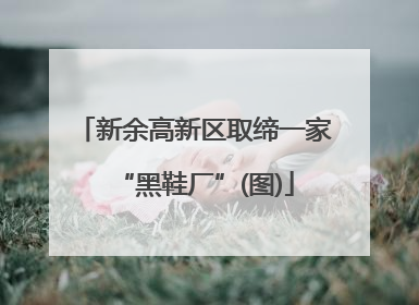 新余高新区取缔一家“黑鞋厂”(图)