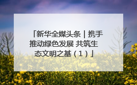 新华全媒头条｜携手推动绿色发展 共筑生态文明之基（1）