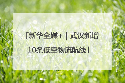 新华全媒+｜武汉新增10条低空物流航线