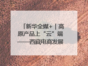新华全媒+｜高原产品上“云”端——西藏电商发展一线观察