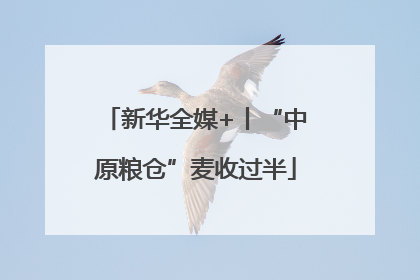新华全媒+丨“中原粮仓”麦收过半