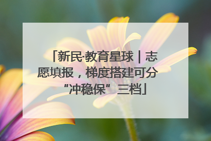 新民·教育星球｜志愿填报，梯度搭建可分“冲稳保”三档
