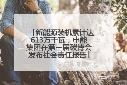 新能源装机累计达613万千瓦，申能集团在第三届碳博会发布社会责任报告