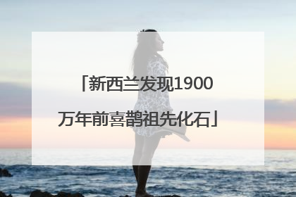 新西兰发现1900万年前喜鹊祖先化石