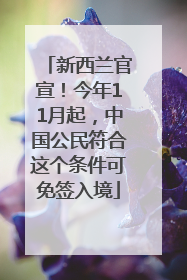 新西兰官宣！今年11月起，中国公民符合这个条件可免签入境