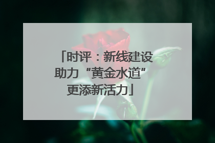 时评：新线建设助力“黄金水道”更添新活力