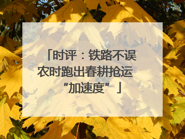 时评：铁路不误农时跑出春耕抢运“加速度”