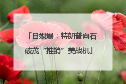 日媒爆：特朗普向石破茂“推销”美战机