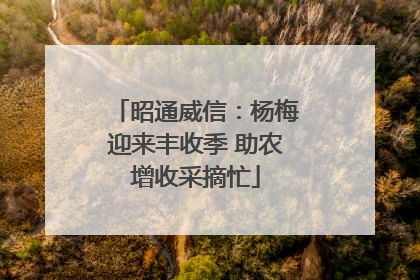 昭通威信：杨梅迎来丰收季 助农增收采摘忙