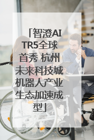 智澄AITR5全球首秀 杭州未来科技城机器人产业生态加速成型