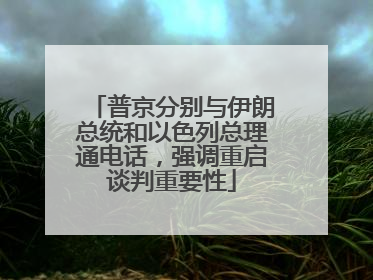普京分别与伊朗总统和以色列总理通电话，强调重启谈判重要性