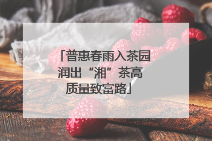 普惠春雨入茶园 润出“湘”茶高质量致富路