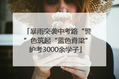 暴雨突袭中考路“警”色筑起“蓝色脊梁”护考3000余学子