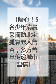 暖心！5名少年清晨采摘助北宅孤寡老人售杏，多方善意传递城市温情