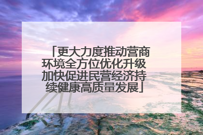 更大力度推动营商环境全方位优化升级加快促进民营经济持续健康高质量发展
