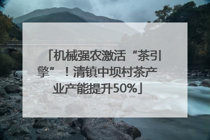 机械强农激活“茶引擎”！清镇中坝村茶产业产能提升50%