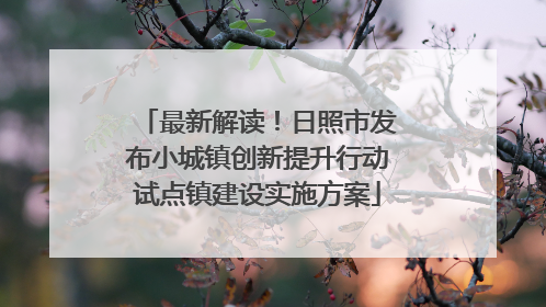 最新解读！日照市发布小城镇创新提升行动试点镇建设实施方案