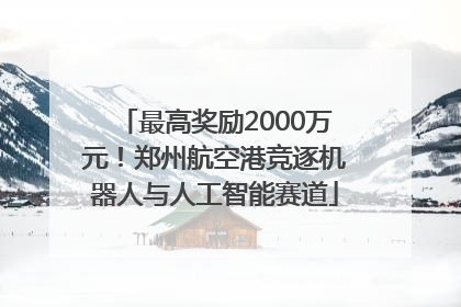 最高奖励2000万元！郑州航空港竞逐机器人与人工智能赛道
