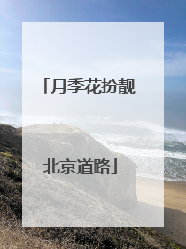 月季花扮靓北京道路